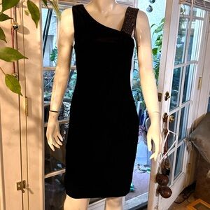 Betsy & Adam Velvet Dress